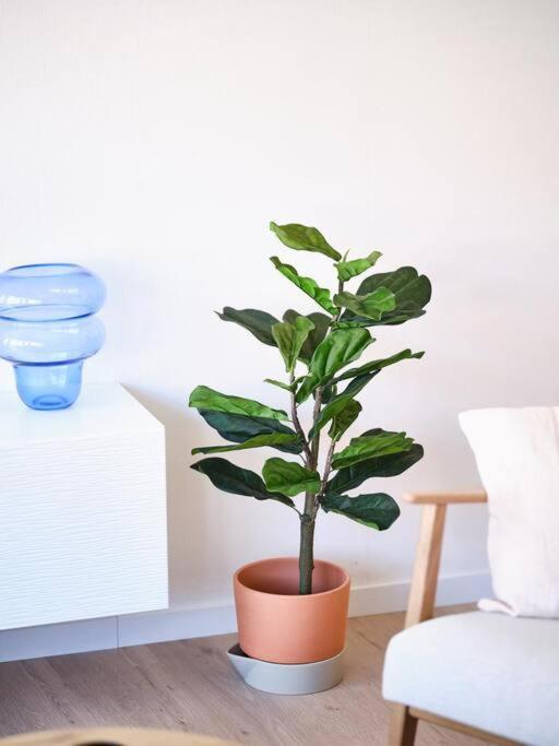 Hugo By The Harbor, Light-Filled And Centrally Located Apartment - Free Parking Ostende Exterior foto